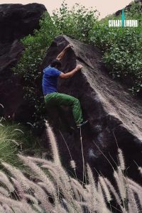 Canary-climbing-servicios-de-escalada-deportiva-islas-canarias-jorge-ortega-BOULDER-06